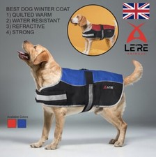 Animate luxury warm dog - animate,