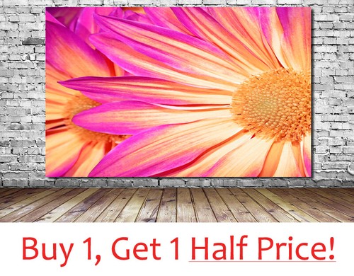 Pink yellow daisy floral - +,