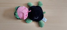 Shecky the Pirate Turtle Russ