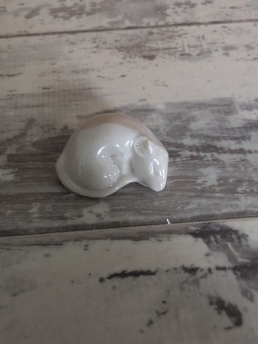 Rare wade sleeping mouse - mouse, white