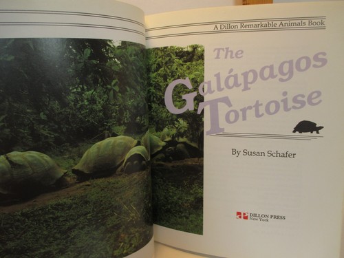 Nature science galapagos - nature, /