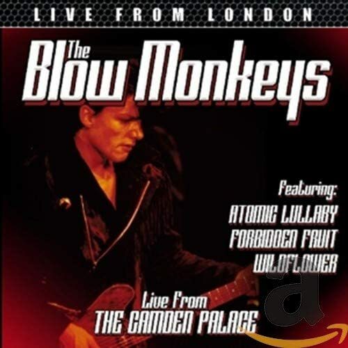 The blow monkeys - the, from
