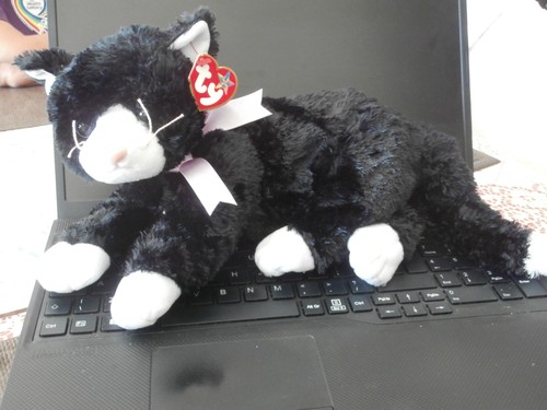 Beanie baby babies buddy - baby, /