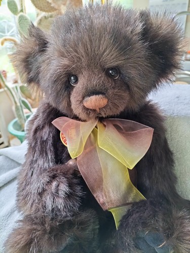 Charlie bears cody 2011 - charlie, vgc
