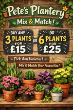 🌱 Indoor Potted House