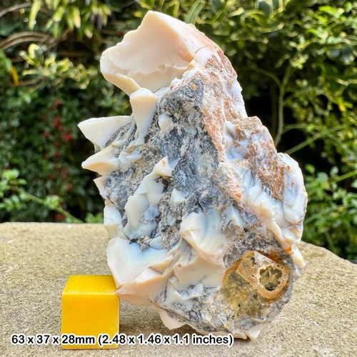 Opal gunheath china - opal,