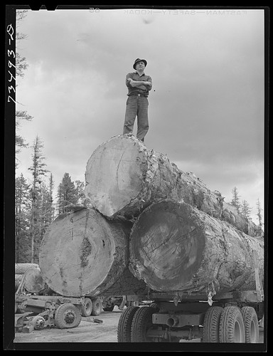 Photo pacific northwest lumber - northwest,