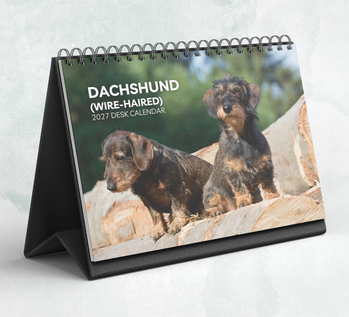 Dachshund desk - dachshund,