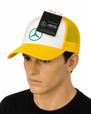 Mercedes AMG Petronas F1 Lewis