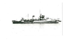 HMS TAMARISK - ROYAL NAVY FLOWER CLASS CORVETTE