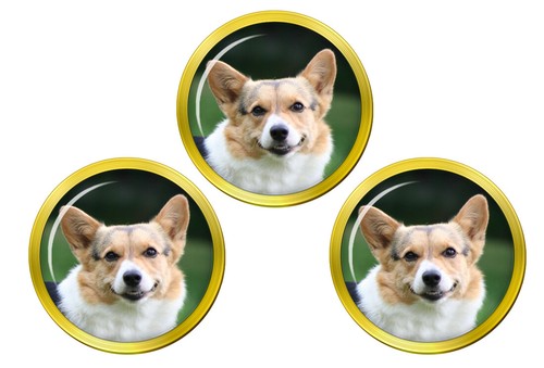 Cardigan welsh corgi - welsh, ball