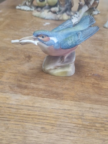 Royal worcester kingfisher - worcester,