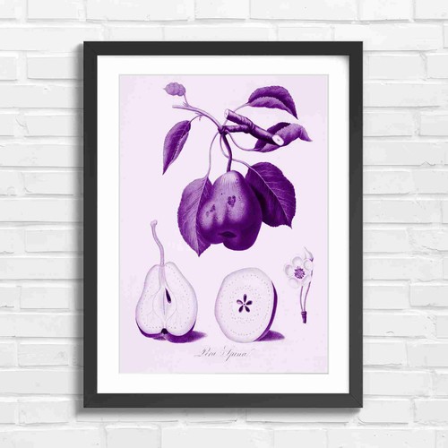 Vintage botanical pear branch - botanical,