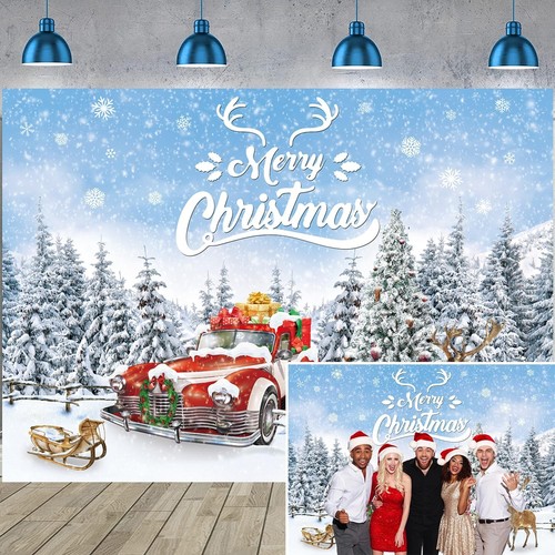 Winter forest christmas - winter,