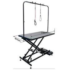 Professional Electric Grooming Table