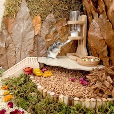 Hamster Platform Decorative Hamster Playground Cage