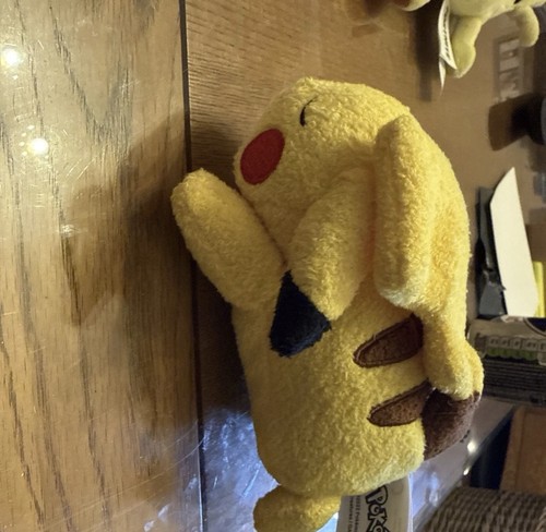 Pokémon pikachu sleeping - pikachu,