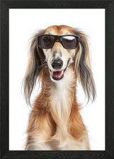Cool Saluki Dog with