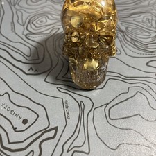 Amber Resin Skull Ornament – Decorative Collectible