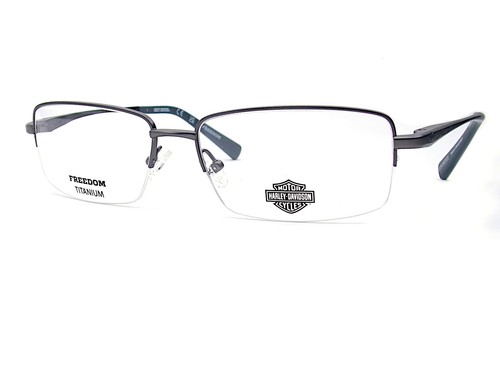 Harley davidson titanium - harley,