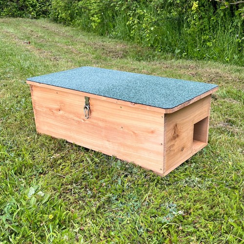 Wooden hedgehog feeding - hedgehog,