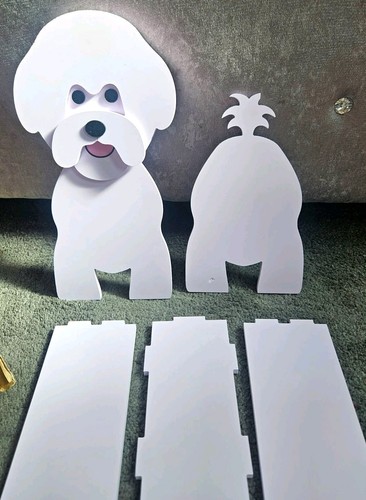 Bichon frise white - frise,
