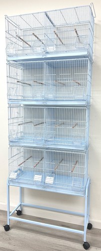 Combo stackable bird - of,