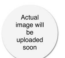 NEW White Spectra Plain Napkin