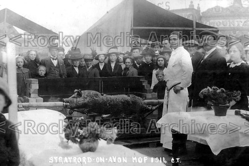 Mrr pig roast the mop - mrr-38,