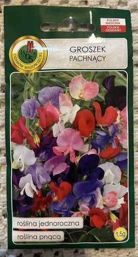 Groszek pachnący sweet pea - sweet,