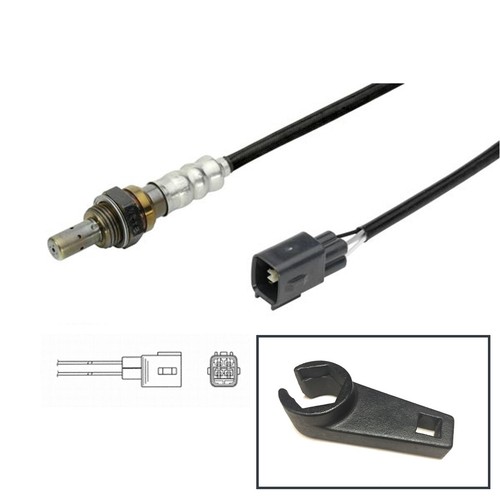 Lambda oxygen sensor socket - lambda, +