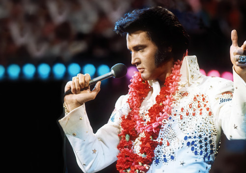 Large elvis presley - large, a3