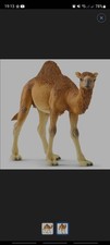 Schleich 14832 Dromedary Camel