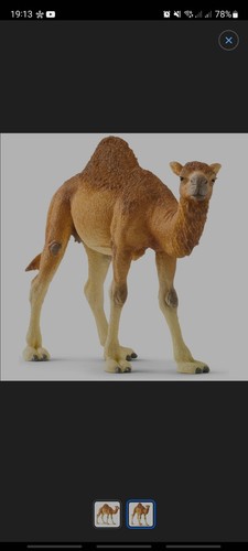 Schleich 14832 dromedary - schleich,