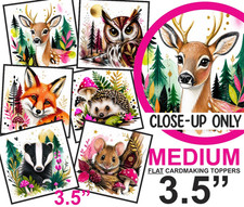 Woodland animals card - animals,