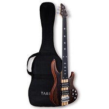 Fretless 5 string electric