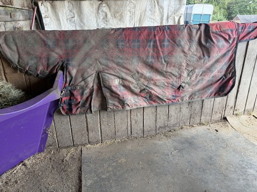 Loveson checkered - 6’3,