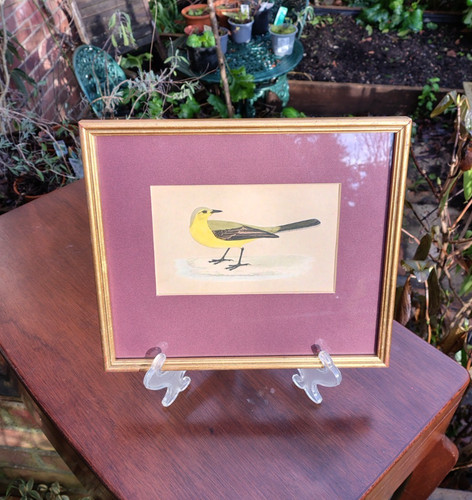 Framed antique victorian hand - antique,