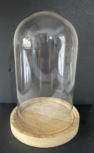 Vintage glass cloche bell jar - vintage,
