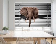 Peeking Elephant © Animal