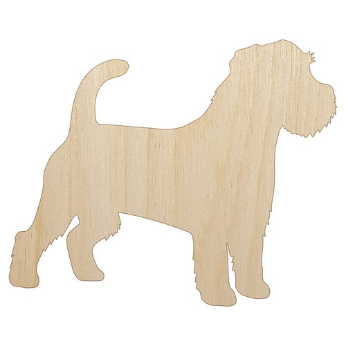 Rough coated jack russell - coated,