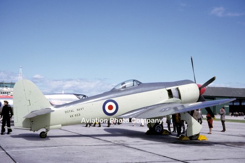 Royal navy hawker - royal, sea