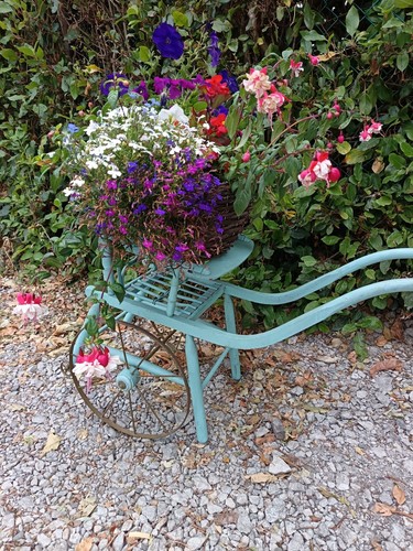 Antique german goat cart - german,