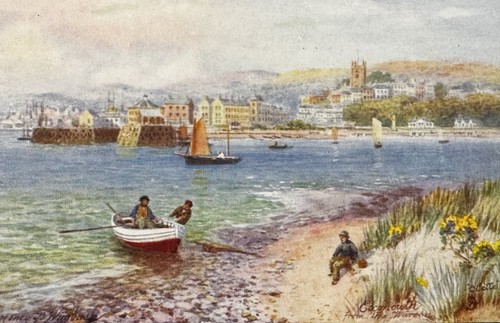 Exmouth from the warren devon - exmouth,