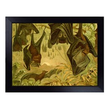 Vintage Flying Fox Bats Lap