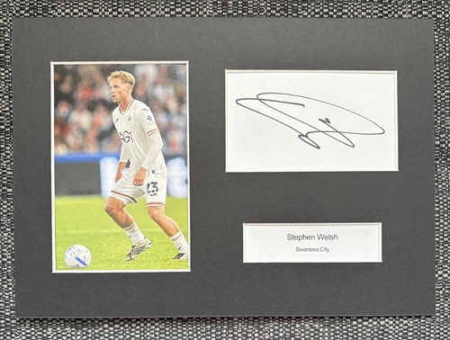 Stephen welsh swansea city - swansea,