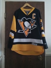 pittsburgh penguin's home