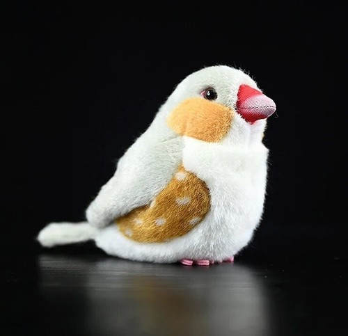 Zebra finch pearl bird - zebra, 6"