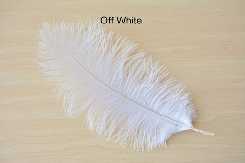 60cm long quality ostrich - long,