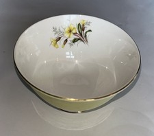 Vintage Royal Albert Bone